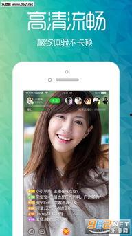 娱乐吃瓜直播页面在哪,娱乐吃瓜页面一网打尽