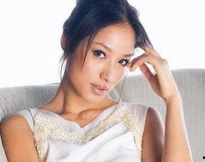 将怡资料,探寻生活之美,品味人生之韵